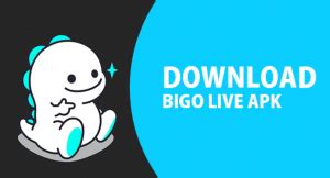 apk bigo download